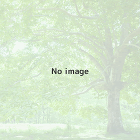 「こころの不調」は、からだから整える時代へ